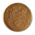 High Quality Low Price Natural 10:1 Solidago Raw Powder In Bulk